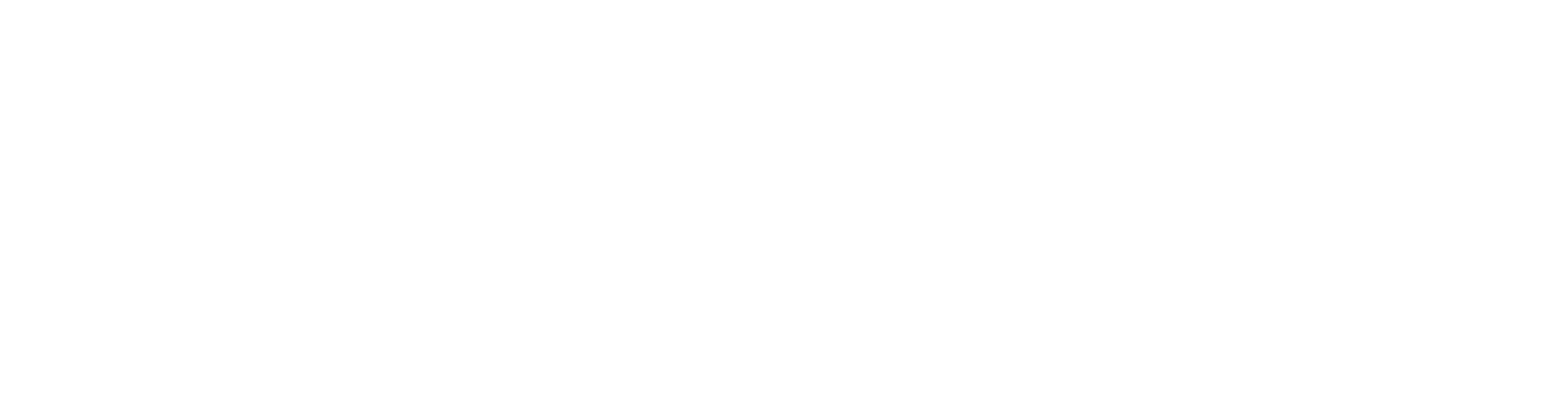 Blue Broom Cleaning Service